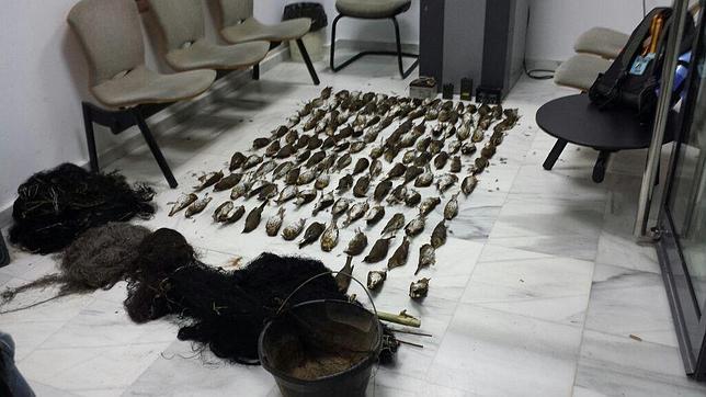 Pillados tres cazadores de Chipiona con 144 aves protegidas 