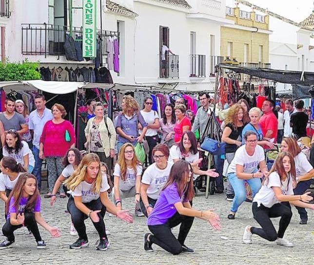 Cinco 'flashmobs' para condenar la violencia de gnero en la provincia