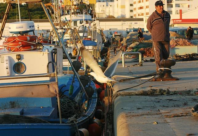 La pesca, otra vez a la deriva