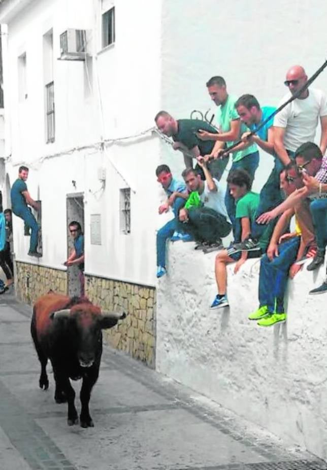 Domingo emocionante  de toros y carreras