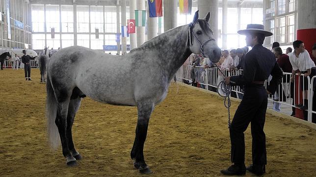 Claves para redescubrir la Feria del Caballo de Jerez