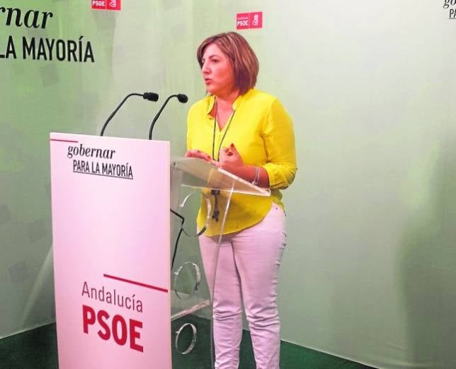 PSOE pide apoyo para rescatar de la irrelevancia la Diputacin 