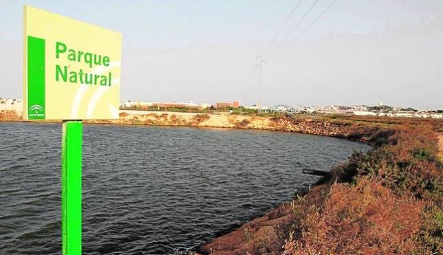 Arrancan las obras de las puertas al Parque Natural Baha de Cdiz en Puerto Real y Chiclana