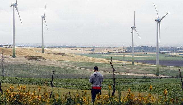 Cdiz genera el 24% de la energa renovable que produce  Andaluca