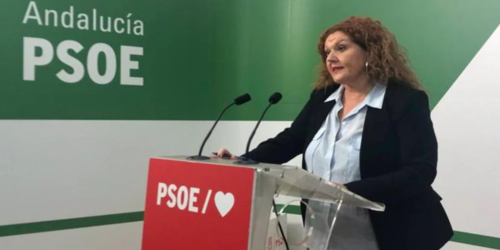 PSOE llevará al Parlamento la situación de los profesores del IES Las