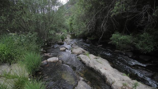 Baños de Popea de Córdoba