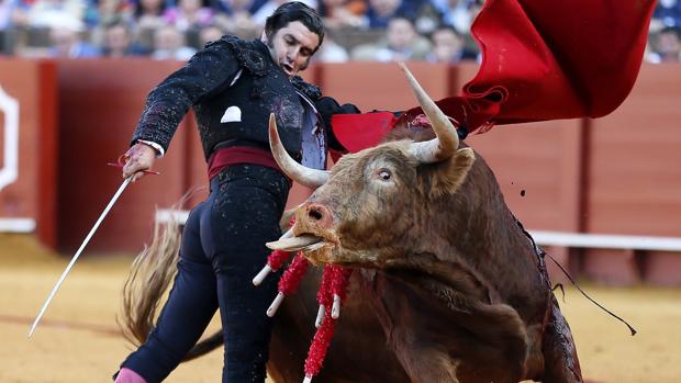 Morante de la Puebla, en un pase de pecho en Sevilla