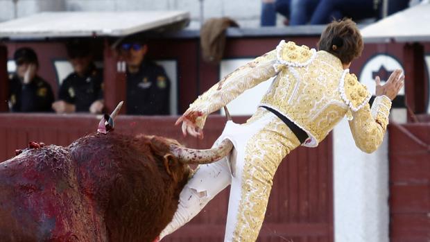 Juan Leal, en el momento de la cornada en la región perianal
