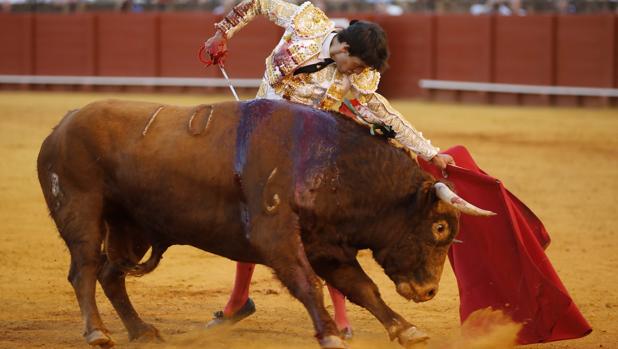 Natural de Antonio Grande en la Maestranza de Sevilla