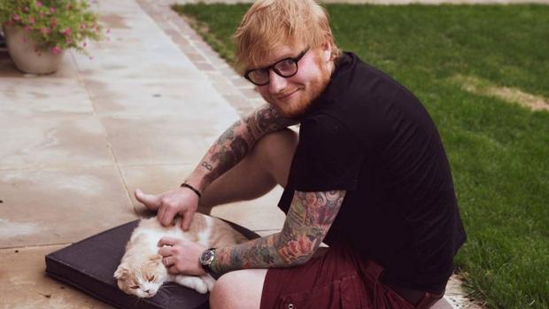 Sheeran, con uno de sus gatos