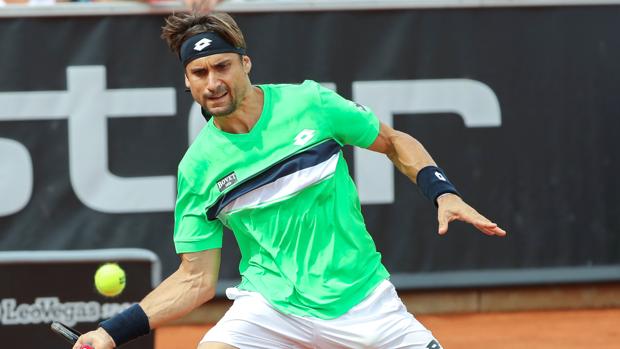David Ferrer