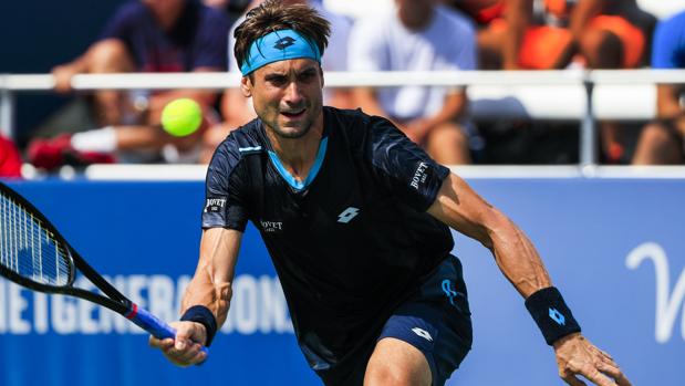 David Ferrer