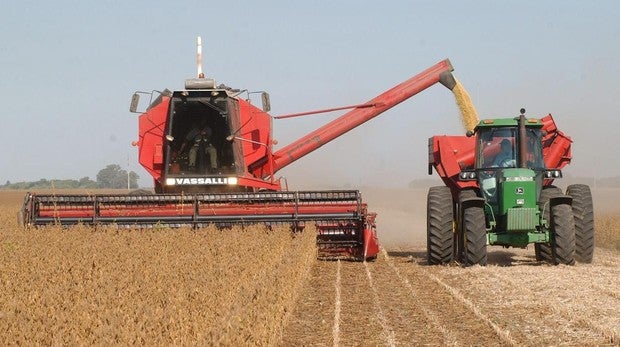 Una cosechadora deposita leguminosas en la tolva de un tractor