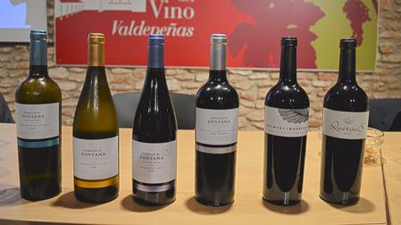 Vinos de Fontana Bodegas & Viñedos