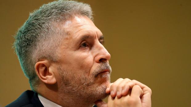El ministro Fernando Grande-Marlaska