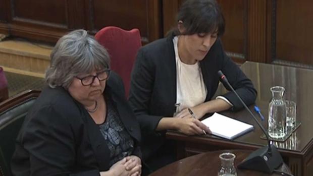 El testimonio de la supuesta «observadora internacional» Helena Catt (en primer plano) no resultó nada convincente