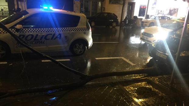 Bomberos del Ayuntamiento han tenido que realizar 110 salidas entre las 8.00 horas y las 22.30 horas