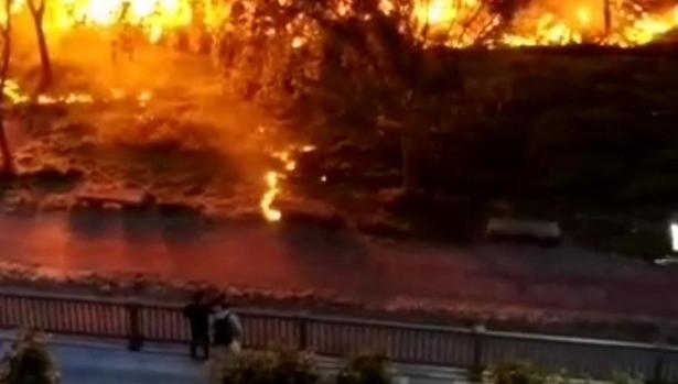Imagen del incendio registrado a orillas del Carrión en Palencia