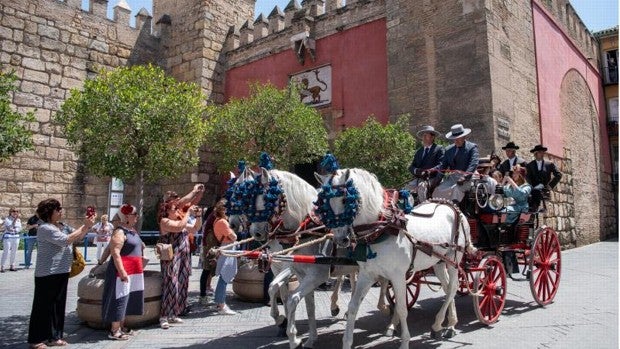 Uno de los enganches junto al Real Alcázar