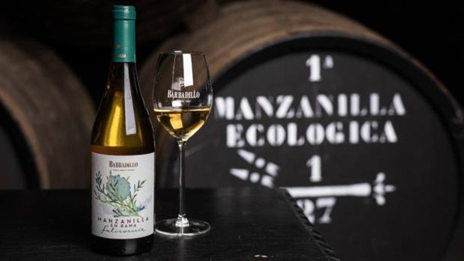 Barbadillo presenta Salicornia, su manzanilla ecológica