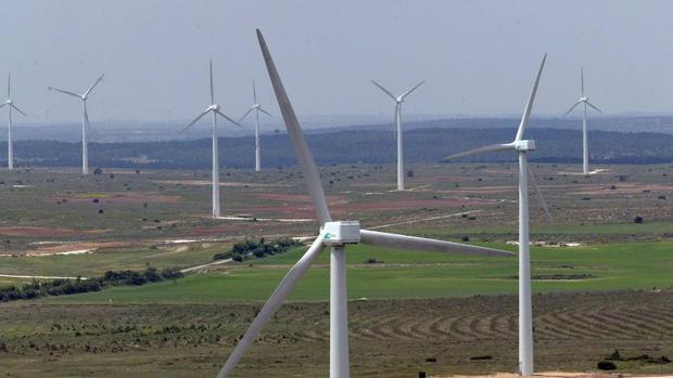 Economía verde: una oportunidad cierta de inversión