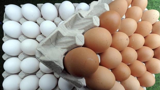 #HuevoChallenge: descubre el buen estado de tus huevos con un sencillo test