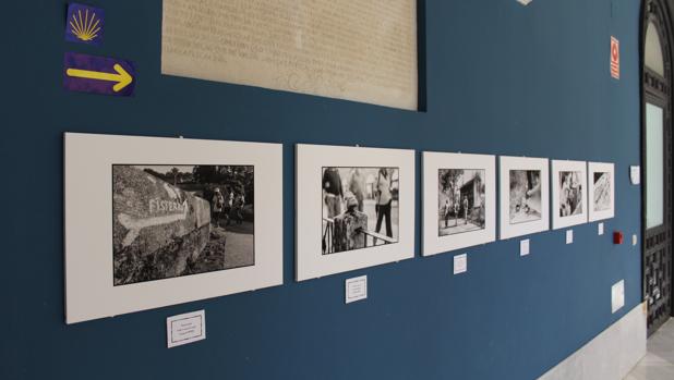 La exposición se encuentra en al patio del Ayuntamiento de Utrera hasta finales de julio