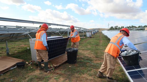 La planta solar se encuentra repartida entre los términos municipales de Alcalá y Utrera