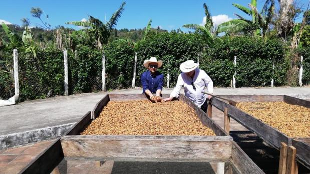 El utrerano Diego Panal ha buscado en Centroamérica los mejores granos de café del mundo