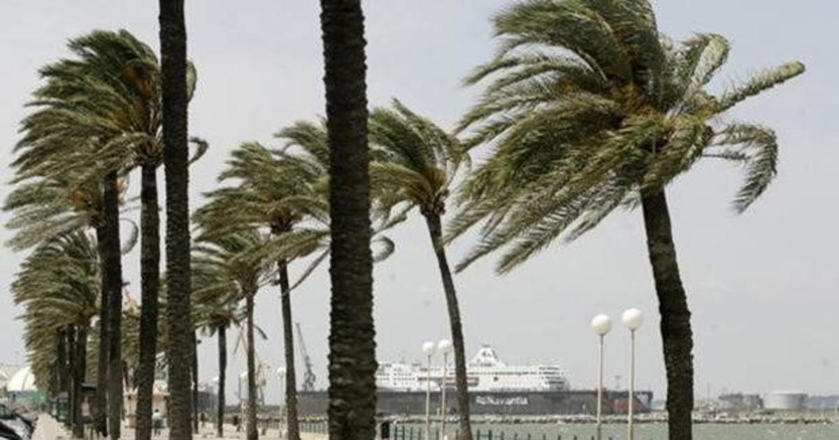 ¿Cuándo suele haber Levante en Cádiz