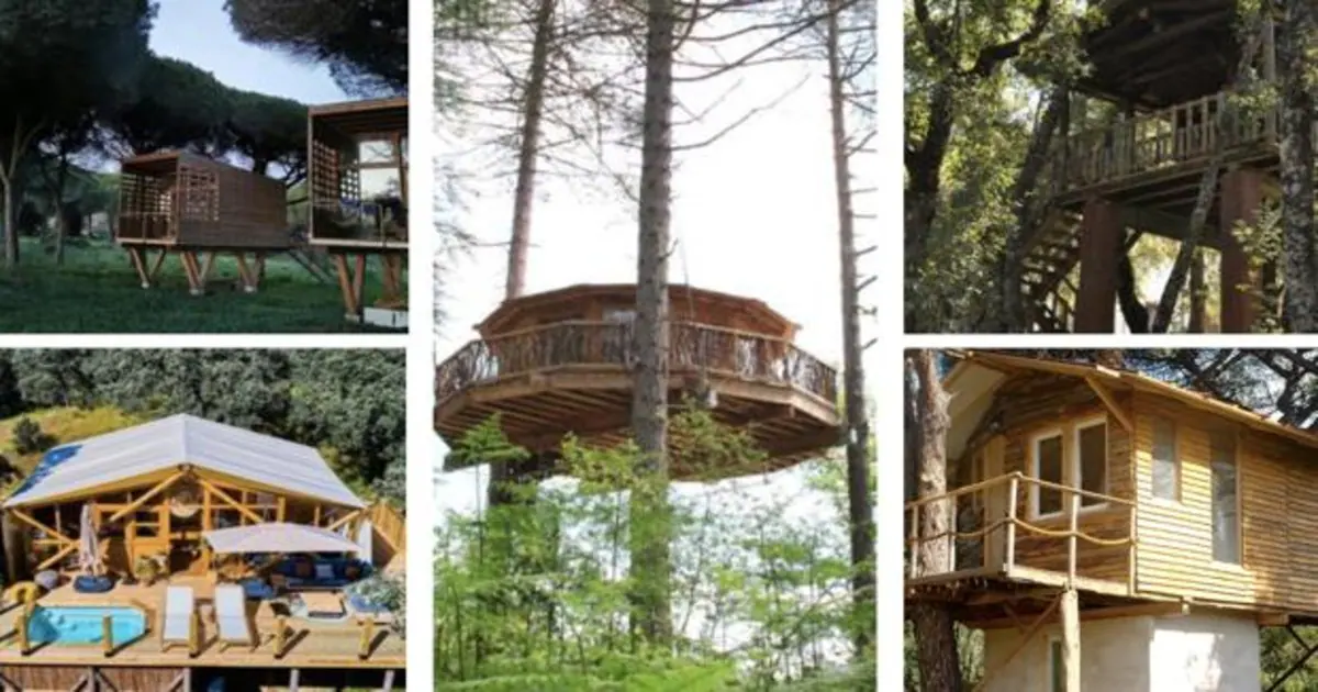 columpio administración Moderador Un viaje espectacular por cinco de las casas árbol más bonitas de España