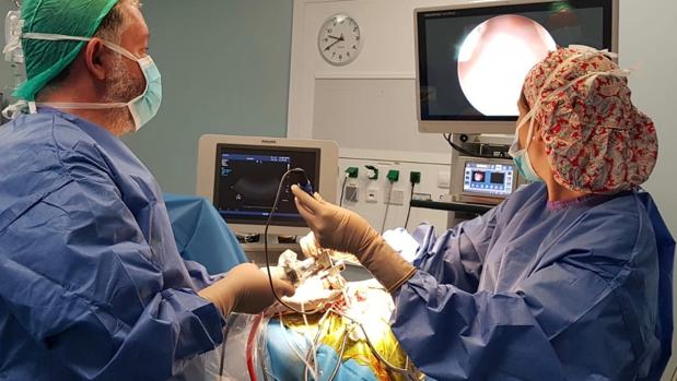 Los doctores Márquez Rivas y Cañizares Méndez