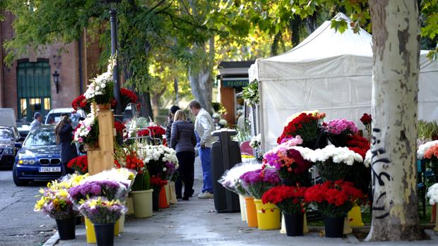 En el terreno de las ventas, no hay una región o una comunidad autónoma que destaque, según los floristas