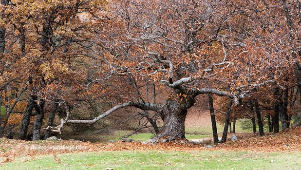 Doce planes cercanos para salir de casa en otoño
